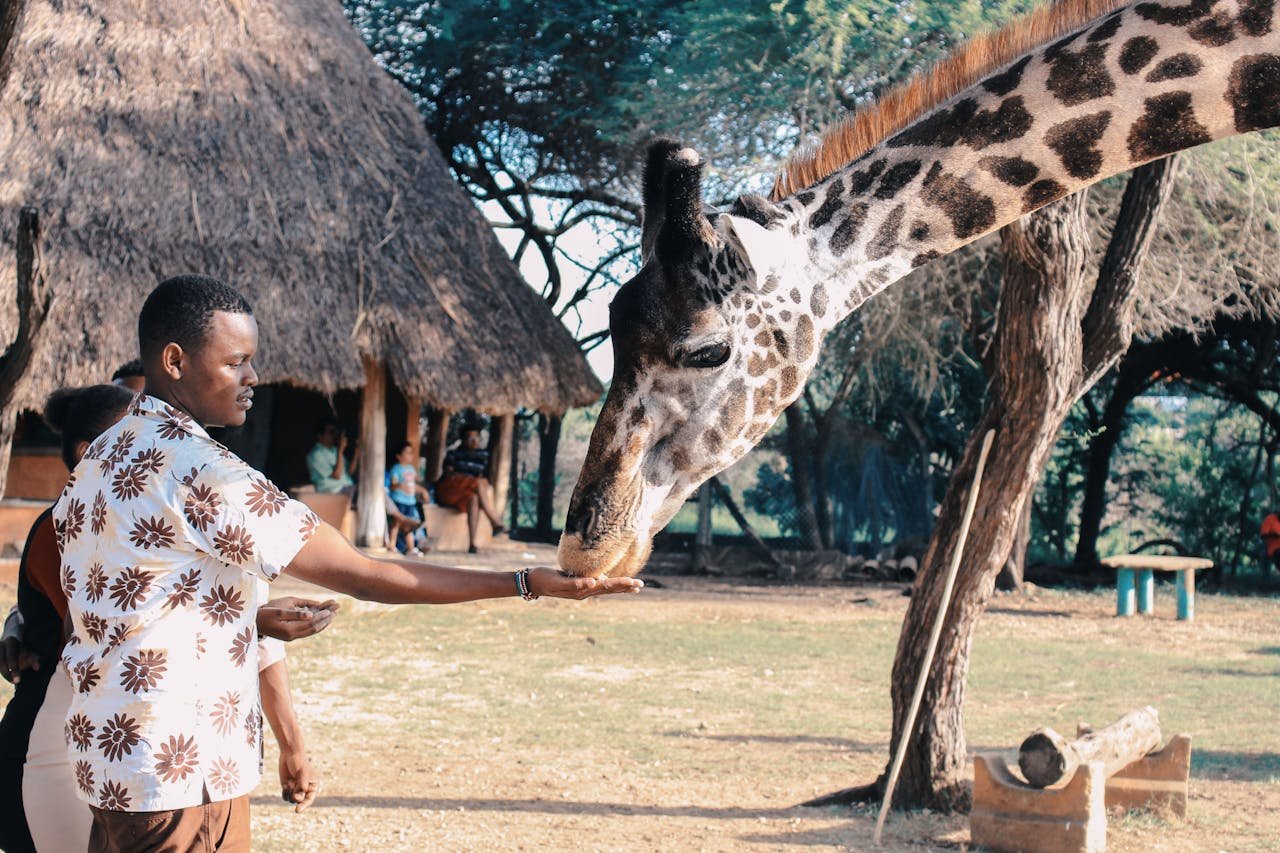 Embarking on an Epic African Safari